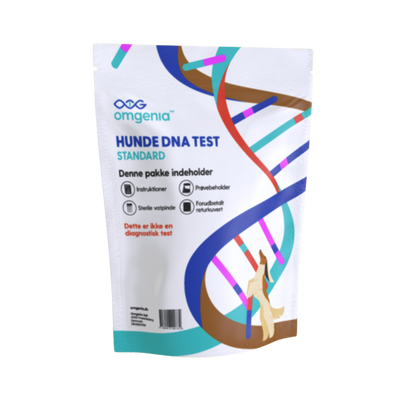 Hunde DNA test - STANDARD